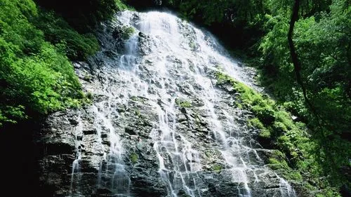 高标准智能